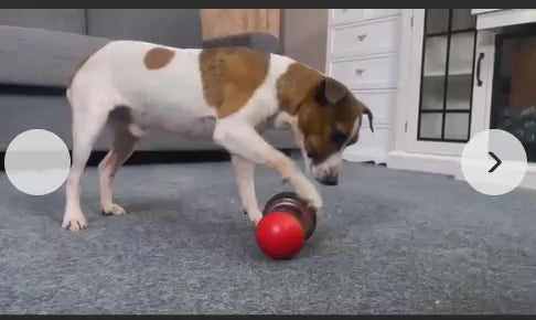 Aromafern™️ Pet Snack Dispenser